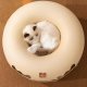 🔥HOT SALE 🔥 Tunnel Interactive Cat Bed