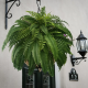 🔥Buy 1 Get 1 Free🔥UV Resistant Lifelike Artificial Boston Fern(Fills a Flower Pot)