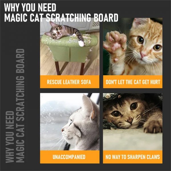 Magic Organ Cat Scratching Board--Comes with a toy bell ball